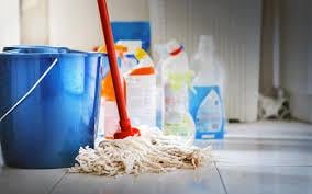 Cleaning Business Forms and Worksheets